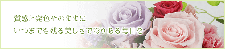 質感と発色そのままにいつまでも残る美しさで彩りある毎日を
